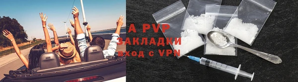 винт Алексин