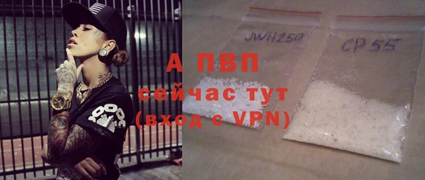хмурый Осинники