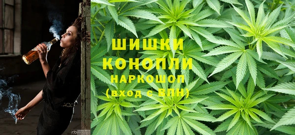 винт Алексин