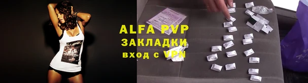 винт Алексин