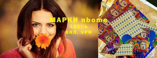 гидра Алзамай